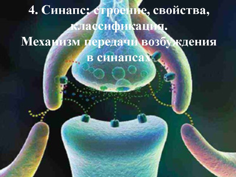 4. Синапс: строение, свойства, классификация. Механизм передачи возбуждения в синапсах